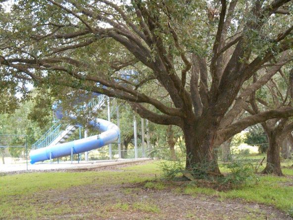 13505 Junius Rd, Abbeville, LA 70510
